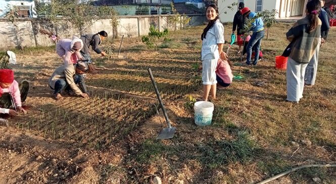 शिक्षालाई श्रम र व्यावहारसंग जोडदै विद्यार्थी