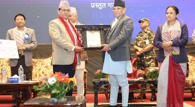 National ICT Excellence Award 2024 awarded to Dr Shailendra Giri by Government